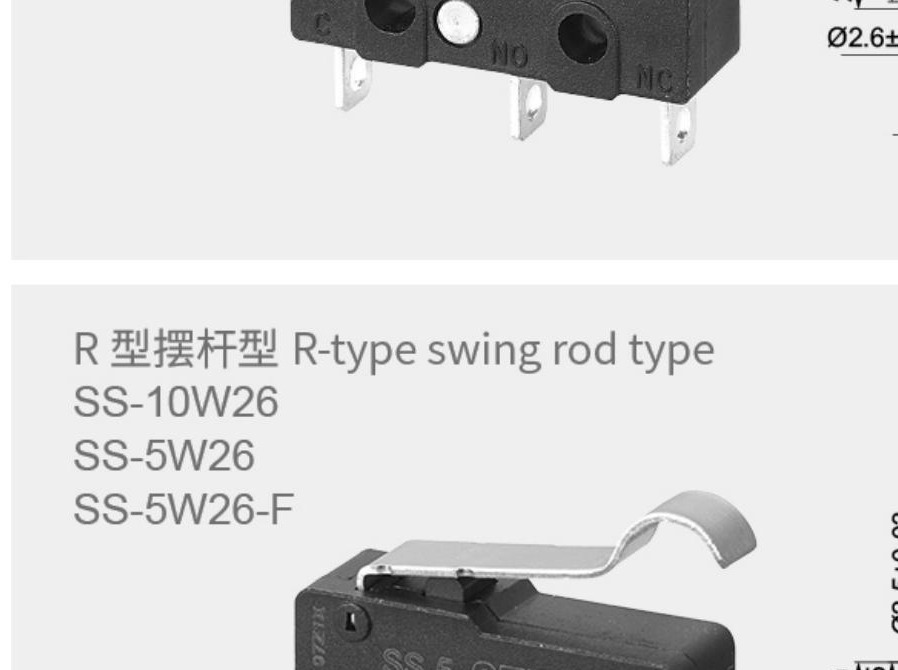 产品主图 - R-型摆杆型SS-10W26
